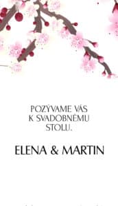 svadobne oznamenie svadobne oznamenia pozvanka na svadbu