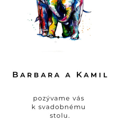 svadobne oznamenie svadobne oznamenia pozvanka na svadbu